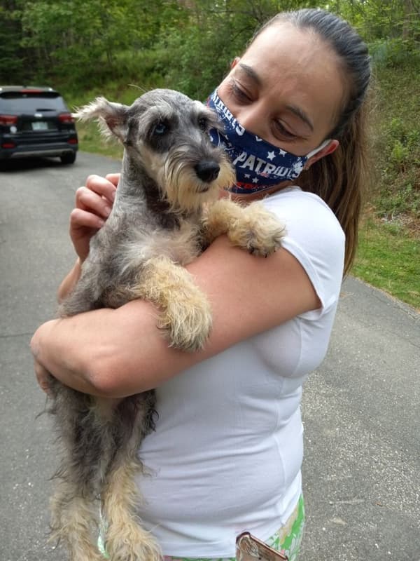 Customer photo of Schnauzer, Miniature puppy from Gislaine I.