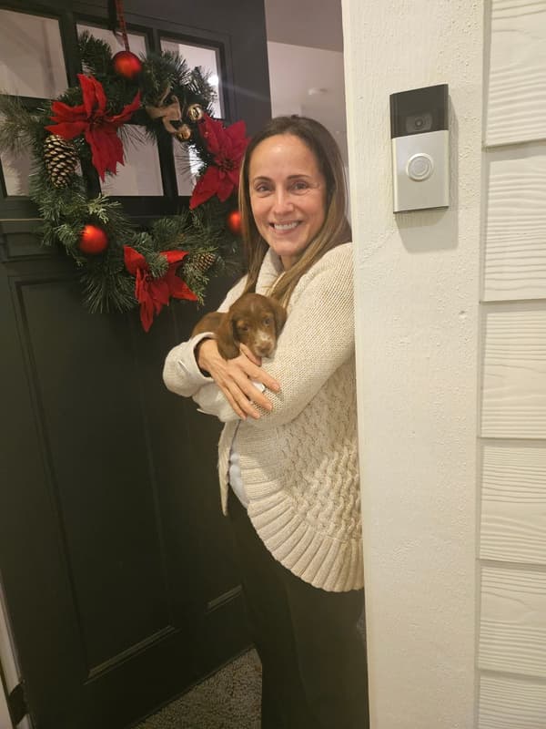 Customer photo of Dachshund, Mini puppy from Marisol O.