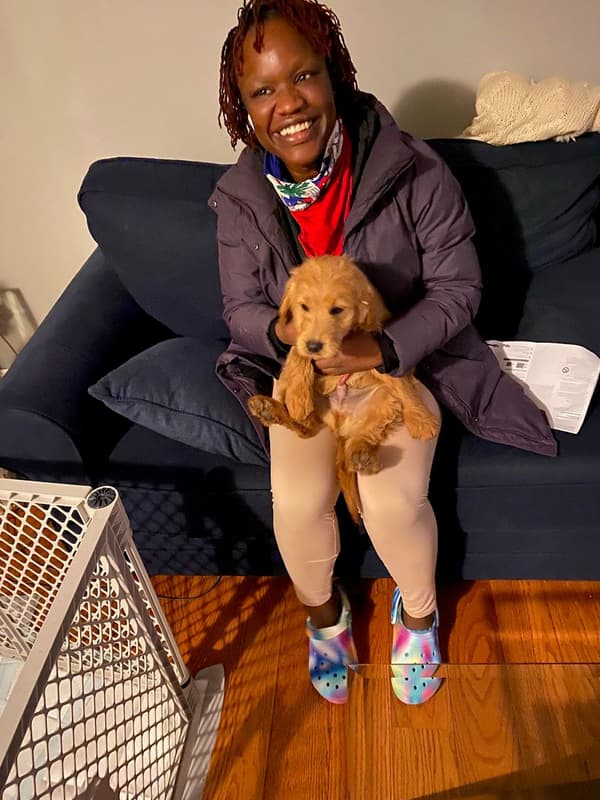 Customer photo of Goldendoodle, Mini puppy from Judy C.