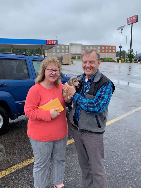 Customer photo of Beagle puppy from Kym H.