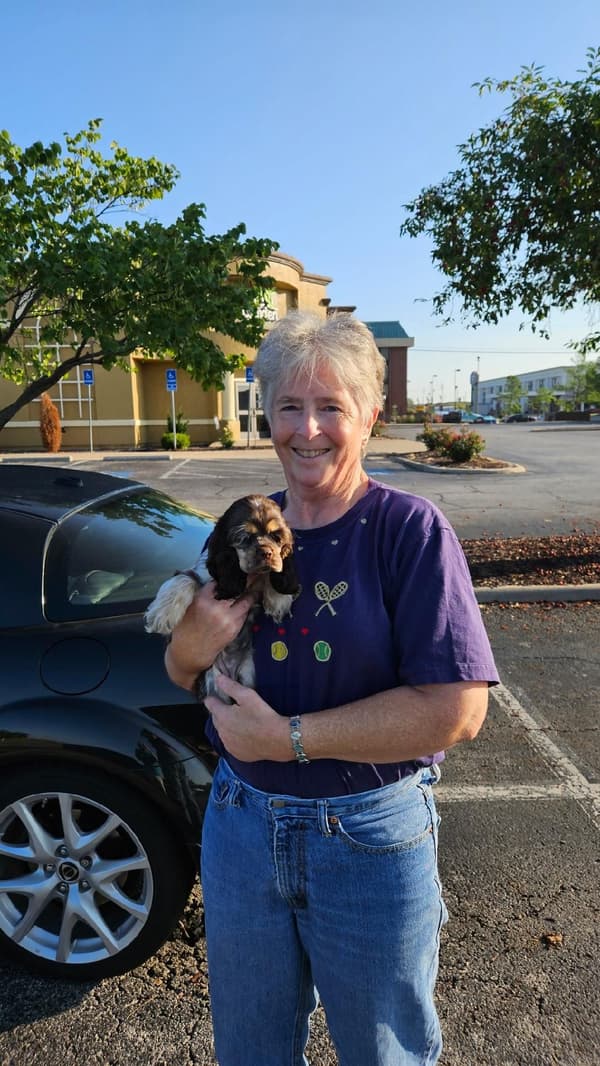 Customer photo of Cocker Spaniel puppy from Ann S.