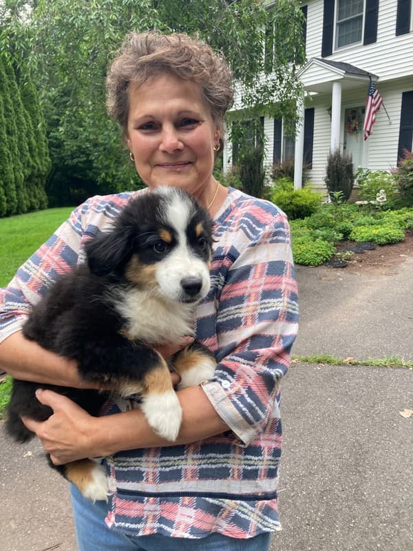 Customer photo of Australian Shepherd puppy from Debbie M.