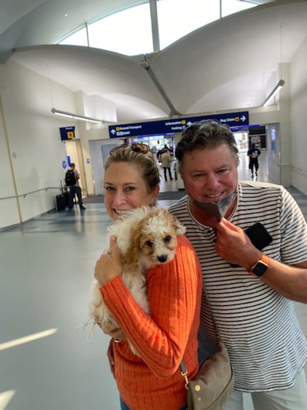 Customer photo of Cavapoo puppy from Kelly B.