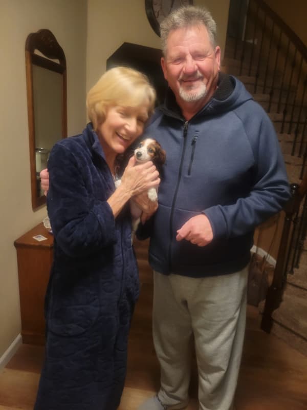 Customer photo of Dachshund, Mini puppy from Mark & Joani W.