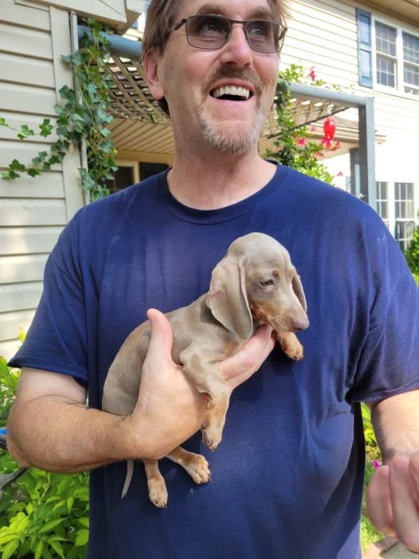 Customer photo of Dachshund, Mini puppy from Brett C.