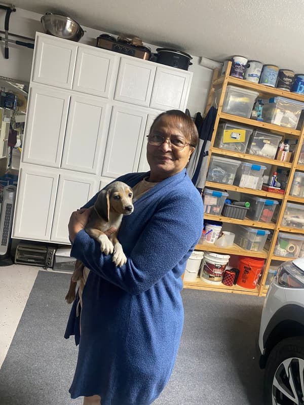 Customer photo of Beagle puppy from Beverly W.