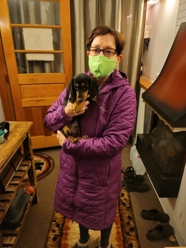 Customer photo of Dachshund puppy from Emily P.