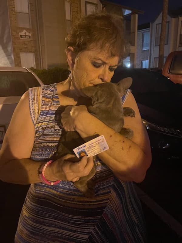 Customer photo of Frenchton puppy from Wanda H.