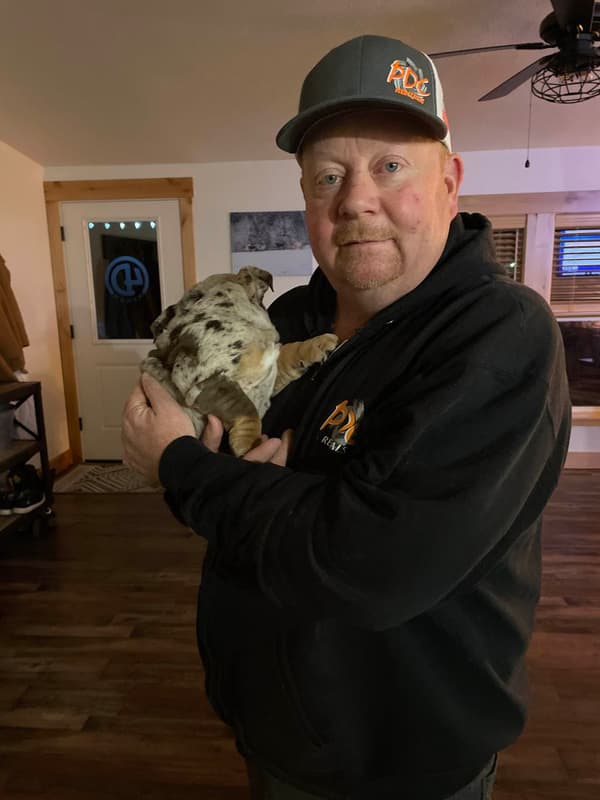 Customer photo of English Bulldog puppy from Chris D.