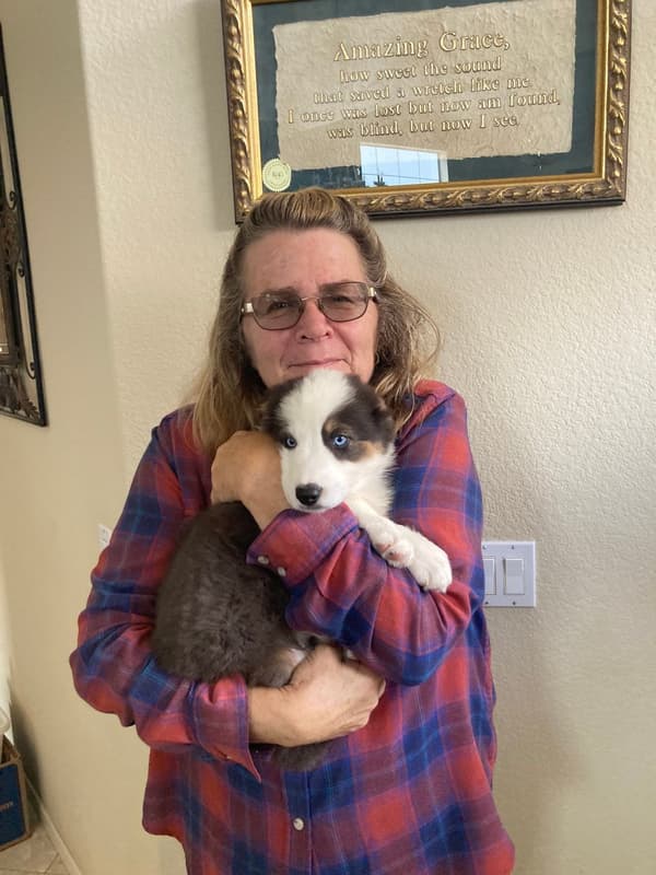 Customer photo of Australian Shepherd puppy from Beth W.