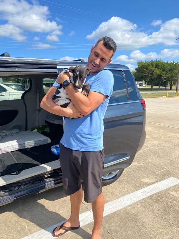 Customer photo of Great Dane puppy from Ryan A.