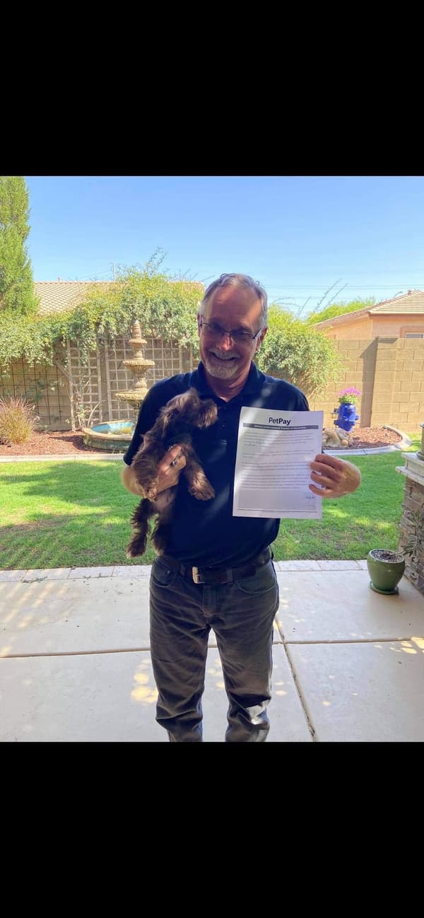 Customer photo of Schnauzer, Miniature puppy from Wayne B.