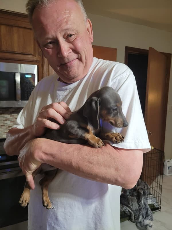 Customer photo of Dachshund puppy from Jeff B.
