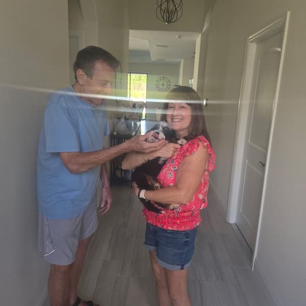 Customer photo of Bernedoodle, Mini puppy from Yvonne B.