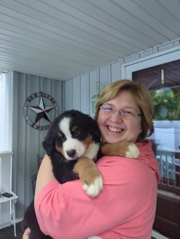 Customer photo of Bernese Mountain Dog puppy from Tanja S.