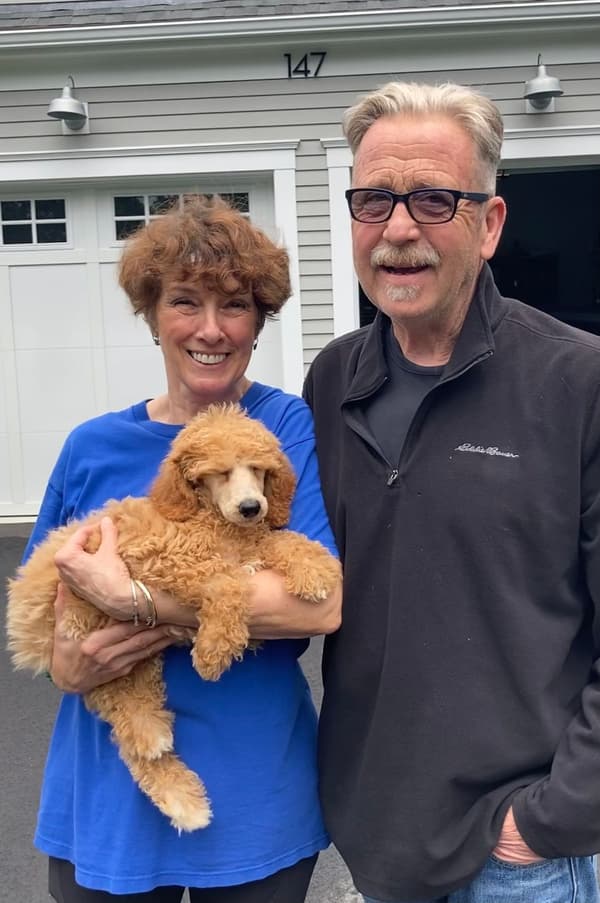 Customer photo of Poodle, Standard puppy from Michael M.