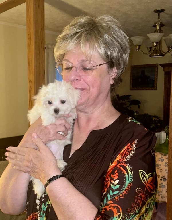 Customer photo of Maltese puppy from Marie B. 