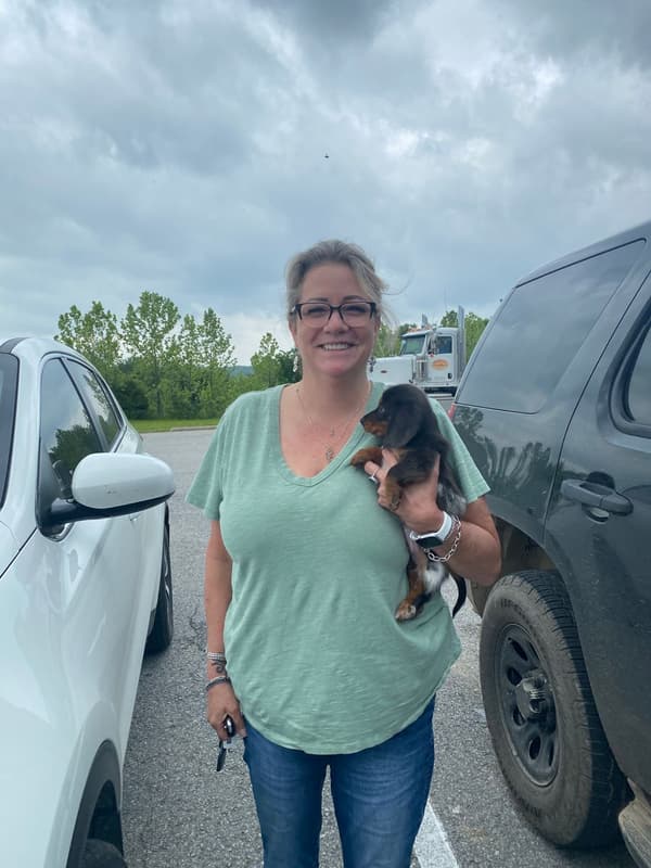 Customer photo of Dachshund, Mini puppy from Debbie O.