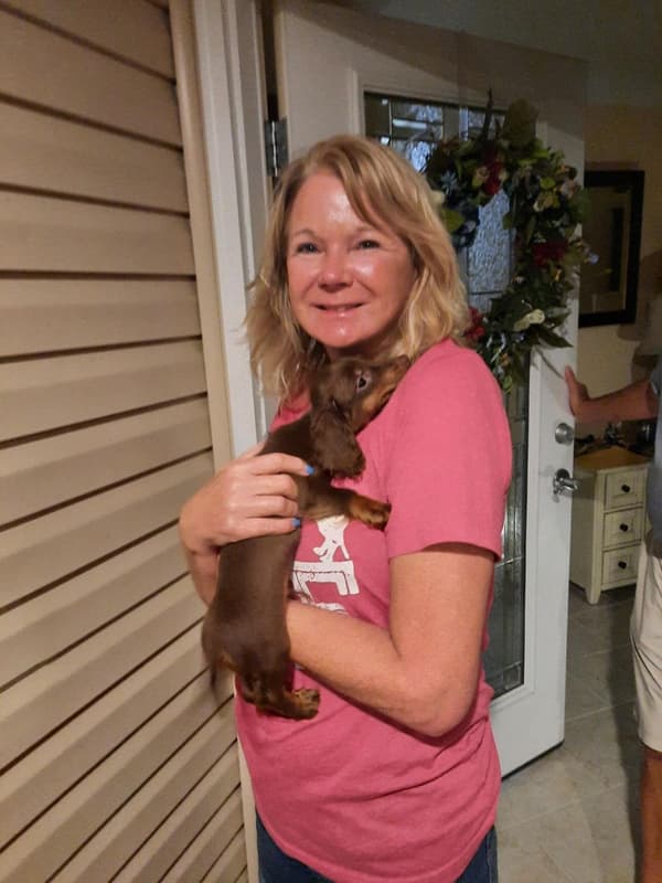 Customer photo of Dachshund, Mini puppy from Cheryl W.