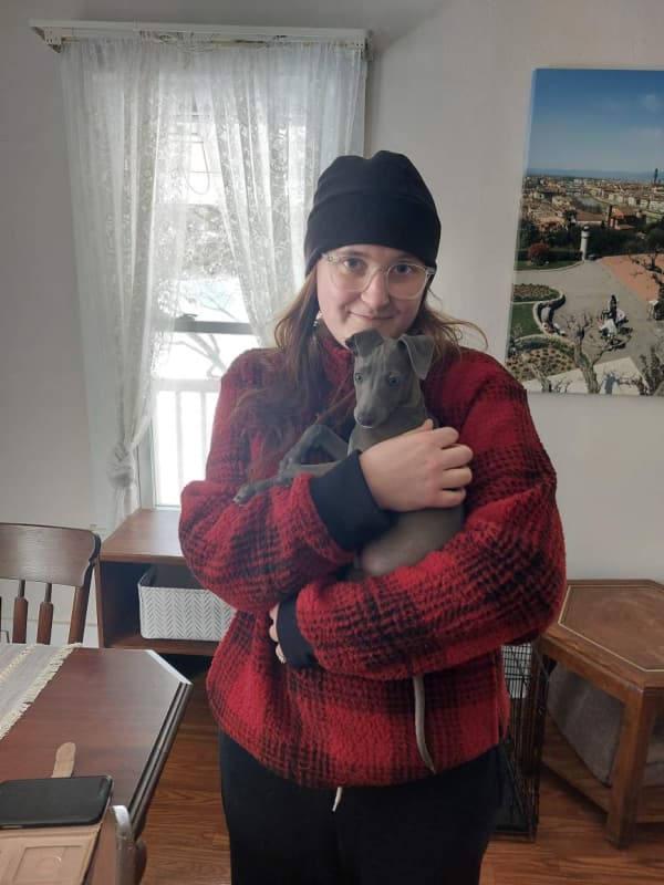 Customer photo of Italian Greyhound puppy from Lindsey O.