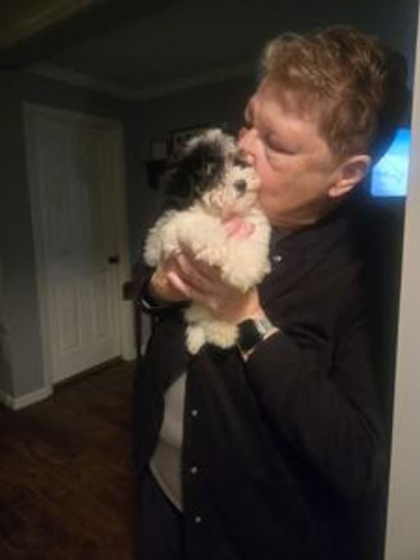 Customer photo of Havanese puppy from Raymond L.