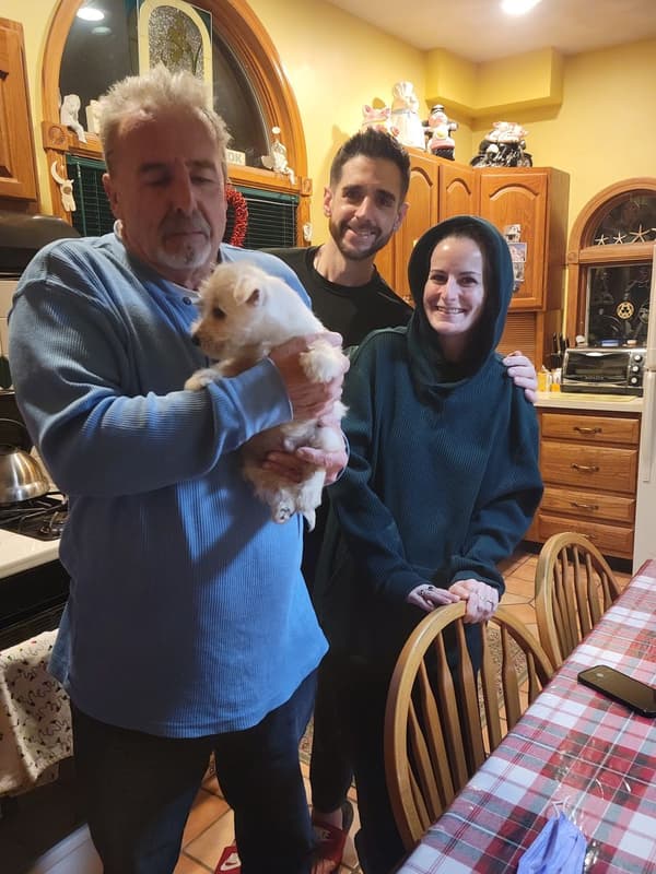 Customer photo of West Highland White Terrier - Westie puppy from Tim M.