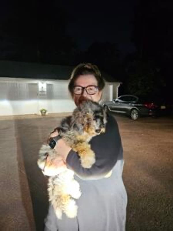 Customer photo of Bernedoodle, Mini puppy from Maureen C.