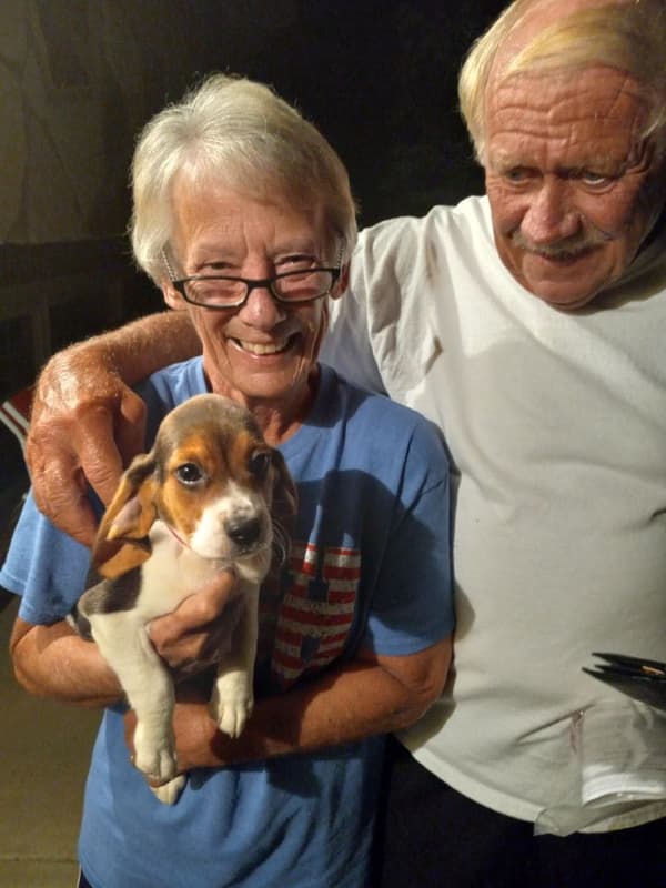 Customer photo of Beagle puppy from Ronald D.