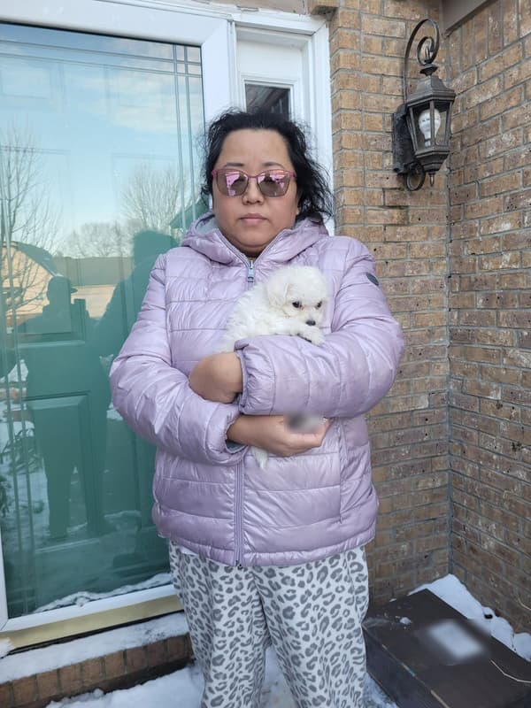 Customer photo of Bichon Frise puppy from Craig & Leilani V.