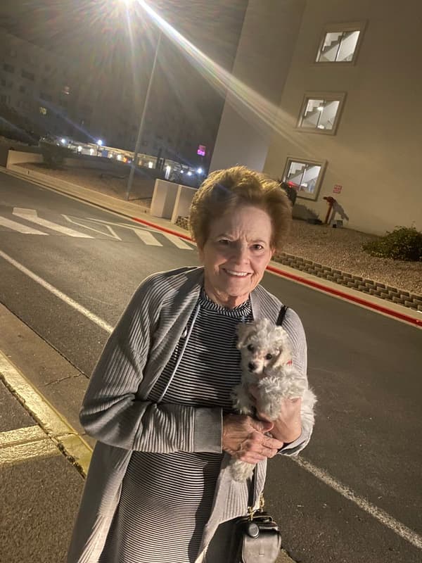 Customer photo of Bichon Frise puppy from LeiLani F.