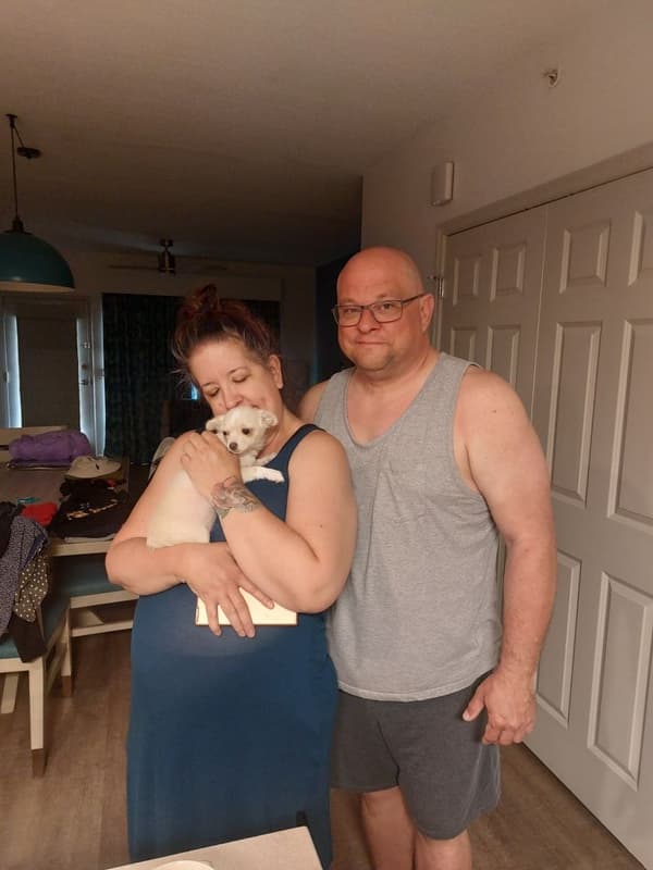 Customer photo of Chihuahua puppy from David V.