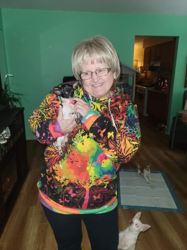 Customer photo of Chihuahua puppy from Pamela F.