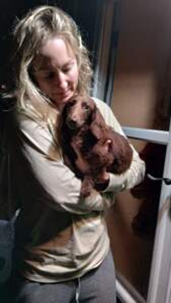 Customer photo of Dachshund, Tweenie puppy from Erin H.