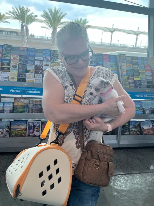 Customer photo of Chihuahua puppy from Elizabeth F.