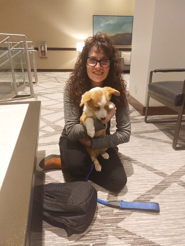 Customer photo of Corgi, Pembroke Welsh puppy from Andria K.