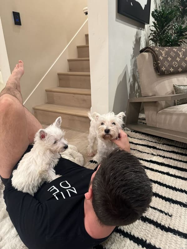 Customer photo of West Highland White Terrier - Westie puppy from Alex H.