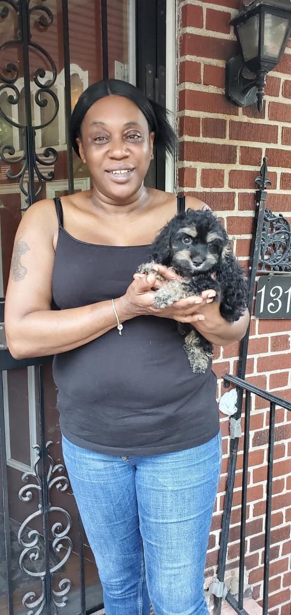 Customer photo of Cockachon puppy from Felicia R.