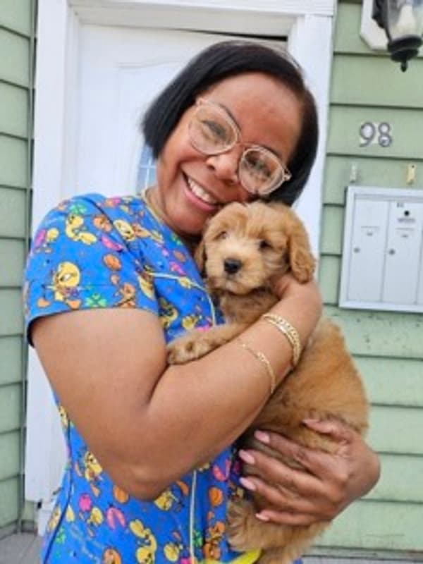 Customer photo of Goldendoodle, Mini puppy from Maria S.
