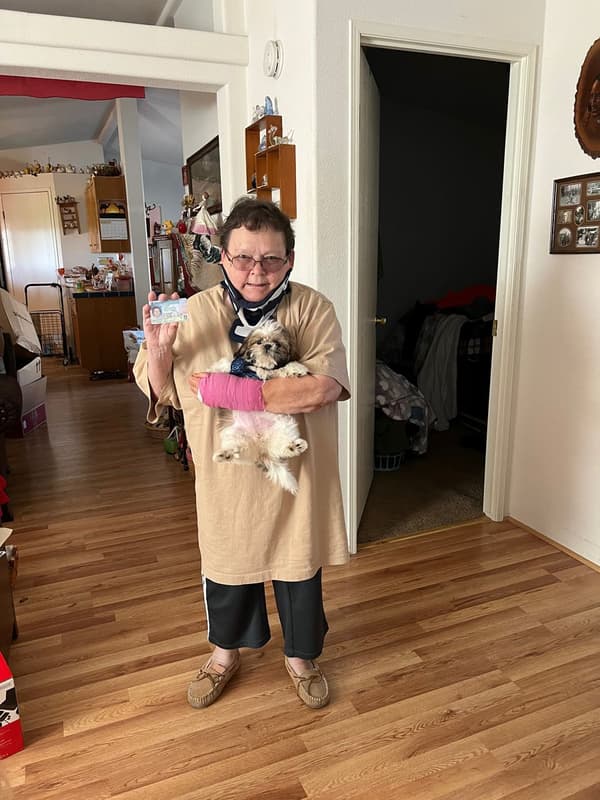 Customer photo of Shih Tzu puppy from Janice P. 