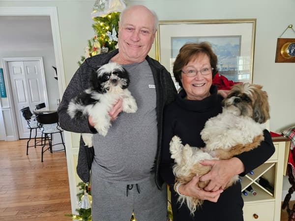 Customer photo of Shih Tzu puppy from Sandra P.