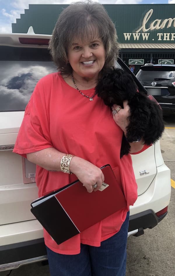 Customer photo of Shih-Poo - Shihpoo puppy from Donna R.