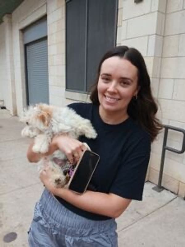 Customer photo of Malti Poo - Maltipoo puppy from Jennifer S.