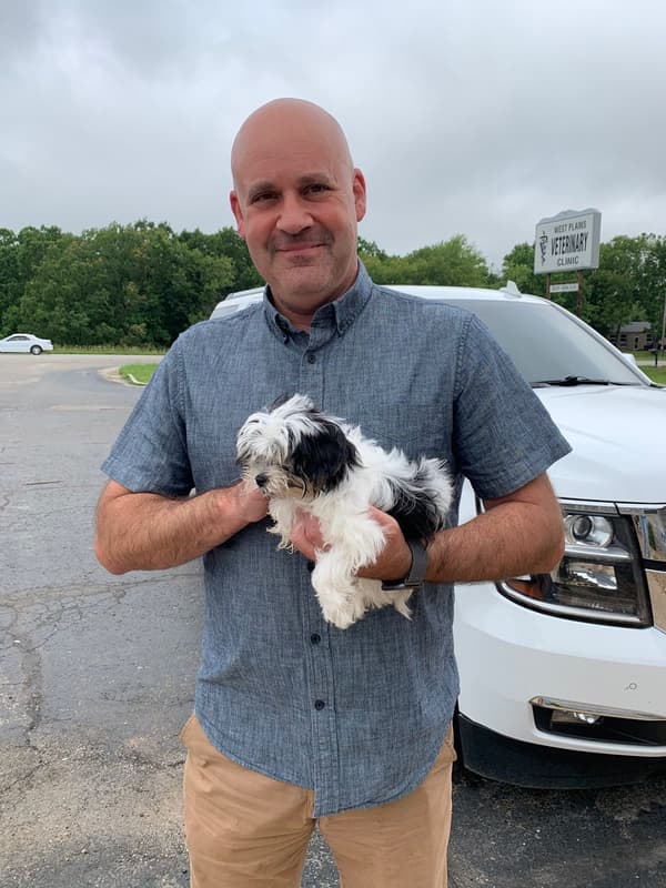 Customer photo of Shorkie puppy from Denny D.