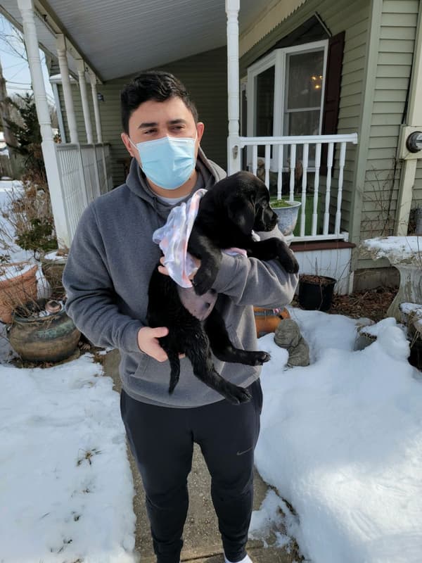 Customer photo of Labrador Retriever puppy from Kyle N.