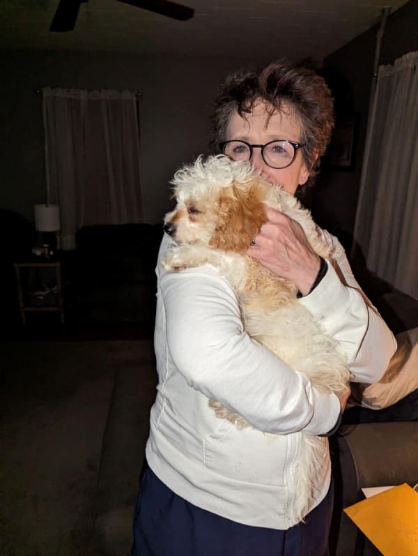 Customer photo of Cavapoo puppy from Nancy B.