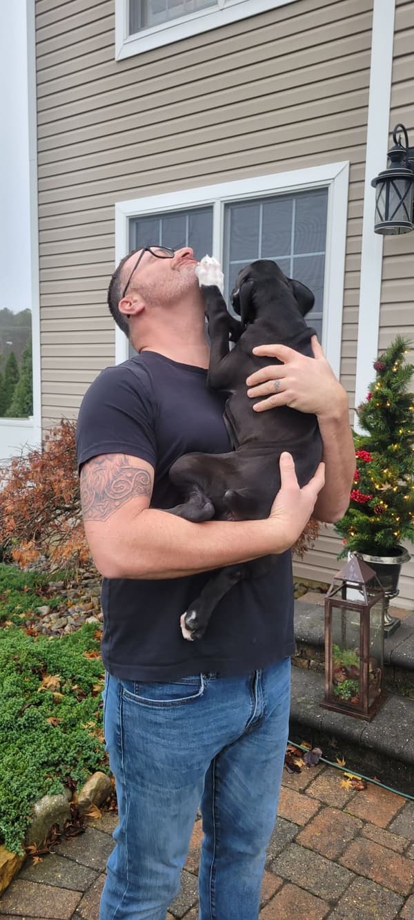 Customer photo of Boxer puppy from Martin K.
