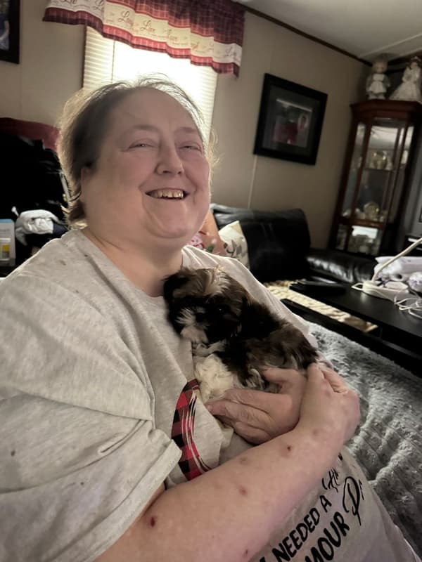 Customer photo of Shih Tzu puppy from Kristi K.