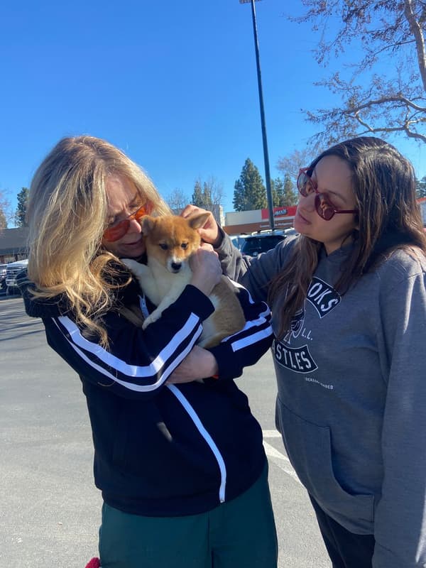 Customer photo of Mixed/Other puppy from Leah R.