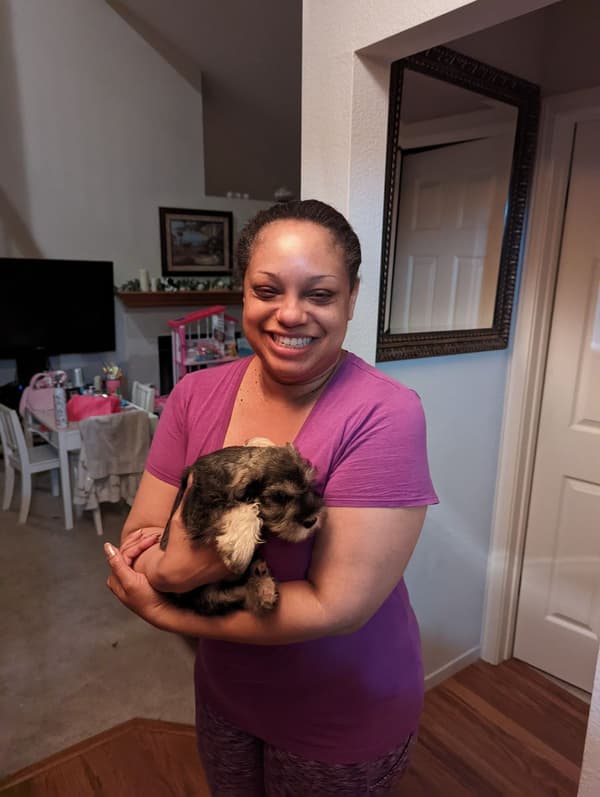 Customer photo of Schnauzer, Miniature puppy from Jennifer W.