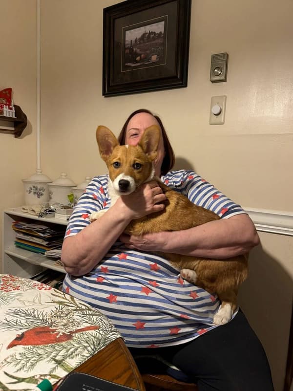 Customer photo of Corgi, Pembroke Welsh puppy from Richard H.